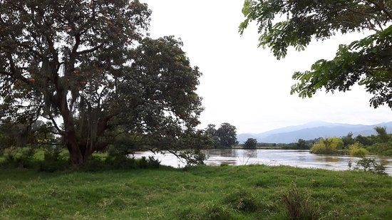 Laguna el Sonso