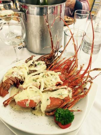 Will's Sabor Del Mar